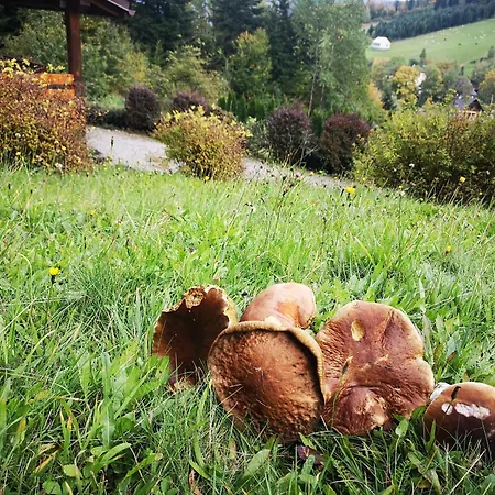 Sniegocinka 2 Jaktstuga *